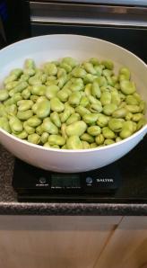 Two kilos of shelled beans