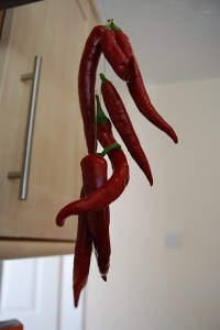 Medina chillies hanging out to dry