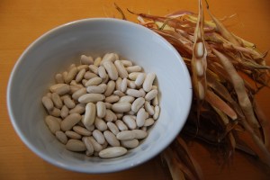Just-shelled Cannellini beans