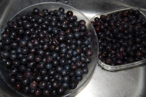 Freshly picked grapes