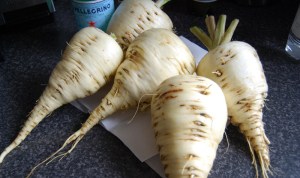 Gladiator parsnips