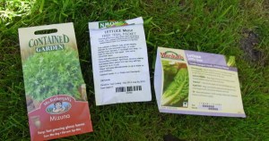 Three lettuce varieties for late sowing