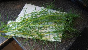 One Agretti 'plant'
