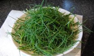 Three agretti plants trimmed and ready for cooking