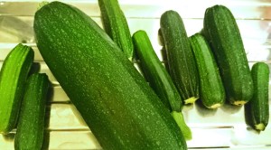 Cheap and cheerful courgettes