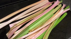 Colourful 'Giant Red' celery