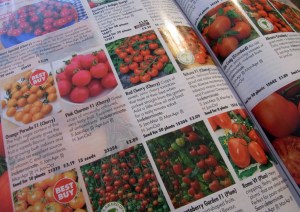 Browsing seed catalogues