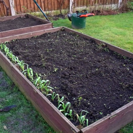 After: clippings dug in and job done.