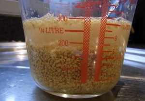 Seeds soaking in the water and vinegar mix