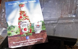 Heinz UK's tomato seeds