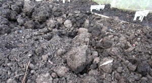 Quite the opposite of the fine tilth needed for seed sowing