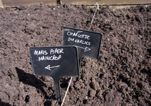 The dividing line ... insurance against picking the wrong ones