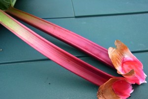 I have plans for you ...