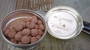 Each clay ball contains a hundred wildflower seeds