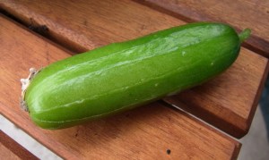 First cucumber picked