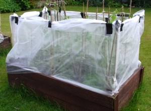Fleece barrier protecting the plants from wind