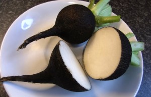 Delicious Nero Tondo radishes