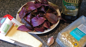 The makings of purple pesto?