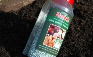 Allium pre-fertiliser works well