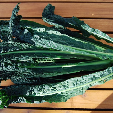 Nero di Toscana kale