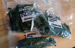 Kales, ready for the freezer