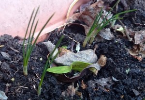 Wait ... what's this?