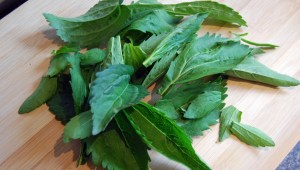 Leaves selected for soaking