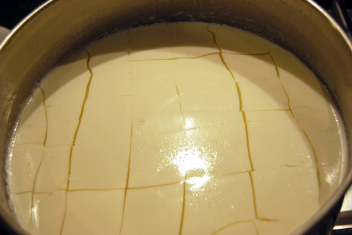 Curds solidifying to the point of being able to slice them
