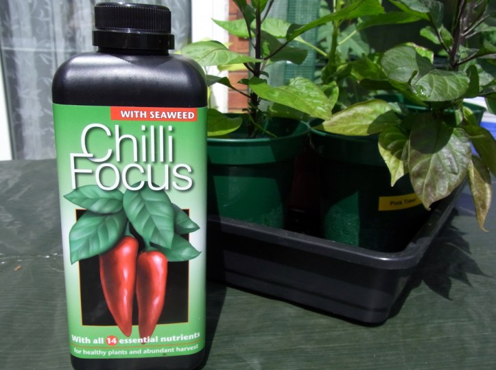 This should give the chillis a boost