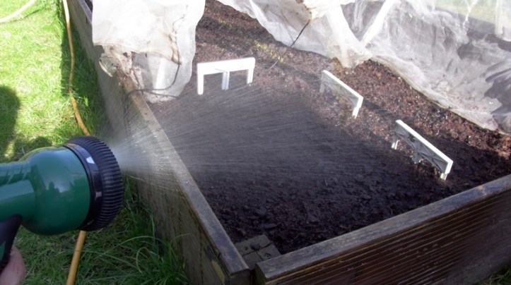 .. needing plenty of watering in