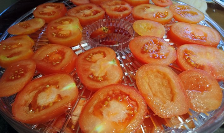 Before: tomatoes thickly sliced and laid out on the drying racks.