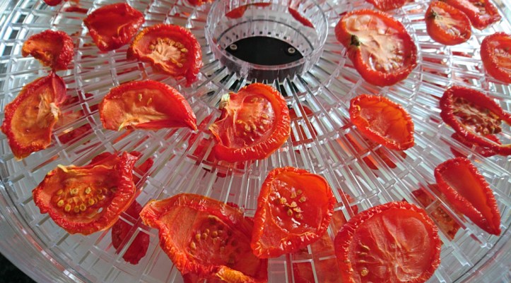 After: dried tomatoes, destined for storing in olive oil