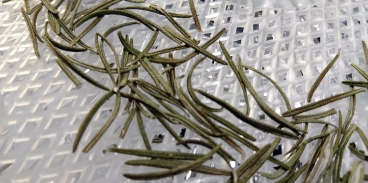 Rosemary having done a turn in the dehydrator