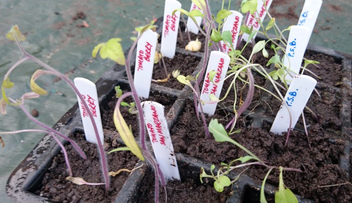 .. but ended badly :-(