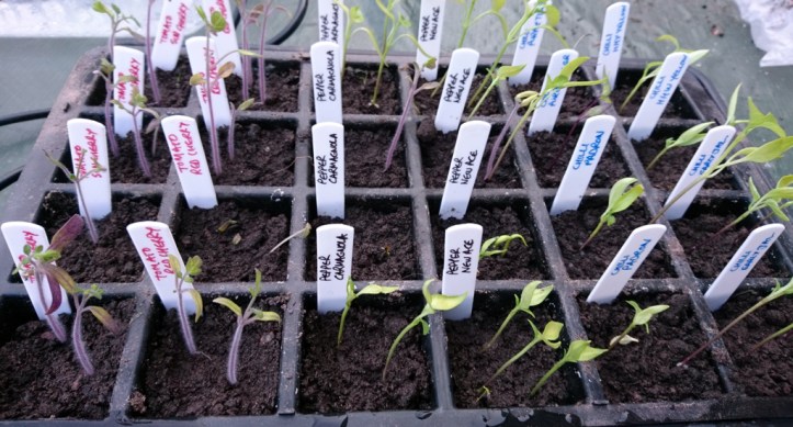 It all started so well ...