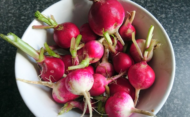 Sparkle radishes. Just add salt, sunshine and a glass of ice cold lager.