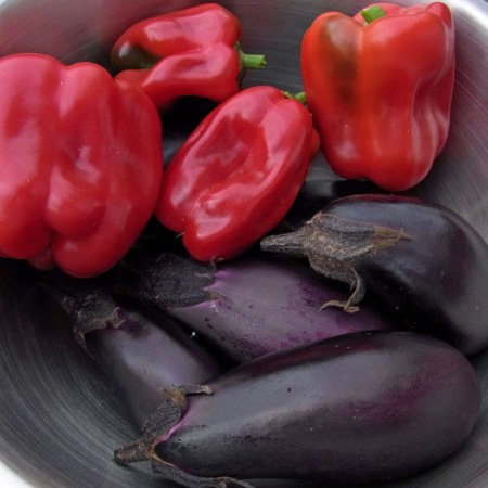 Late haul of 'ace' peppers and 'moneymaker' aubergines, both grown from grafted plug plants.
