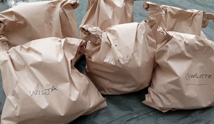 All bagged up for storing