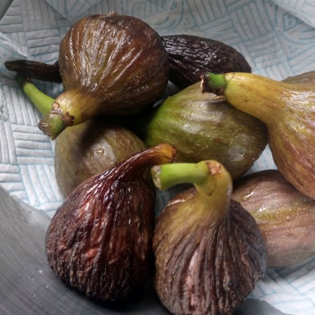 Jammy, freshly-picked figs
