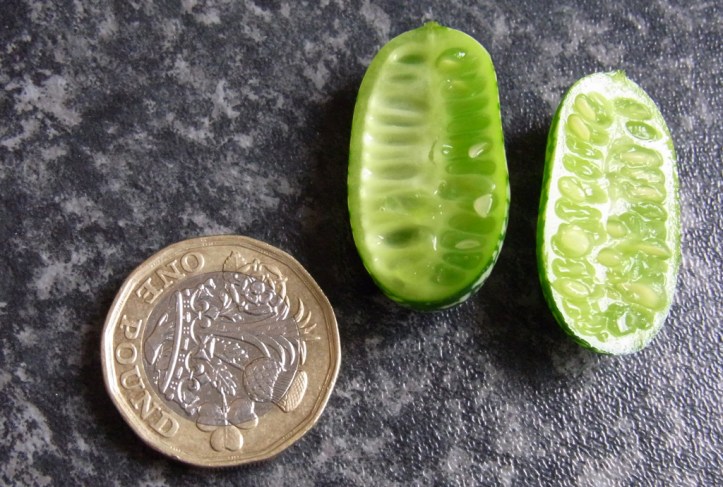 Cucamelons are quite small, but very refreshing