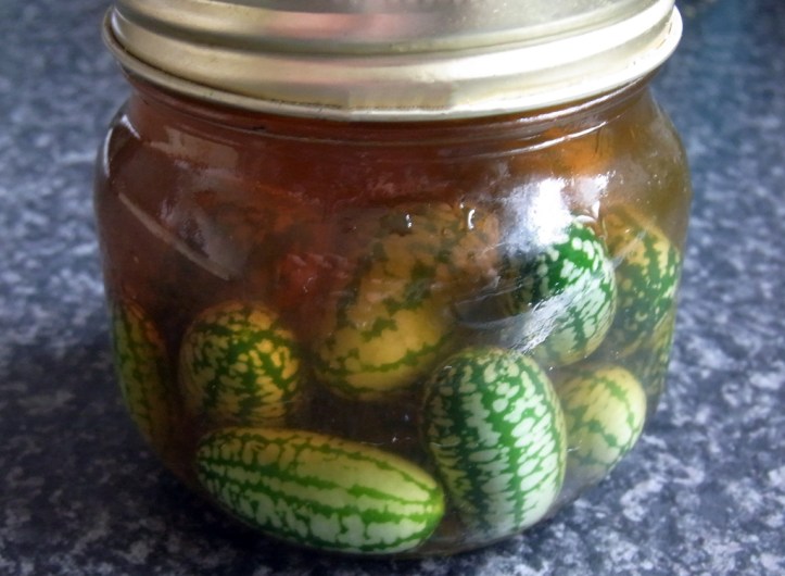 In a bit of a pickle