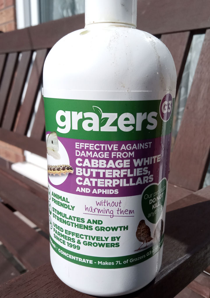 This seemed to help deter butterflies and caterpillars